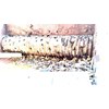 Vecoplan 62-125 Hogs and Wood Grinders